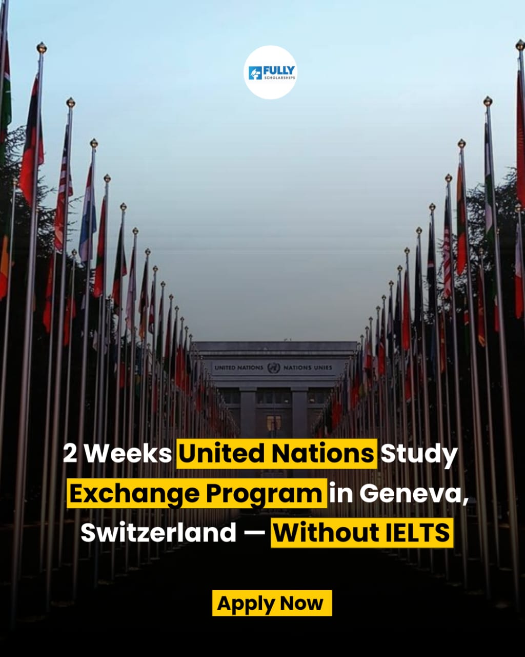 scholarship offer in switzerland