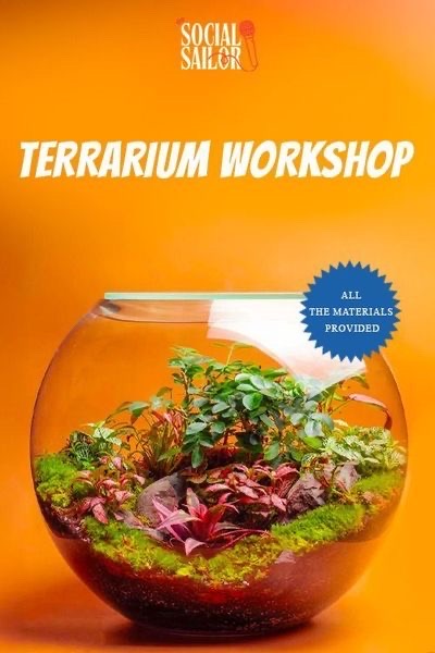 💚🌿 Terrarium  Workshop – Hyderabad