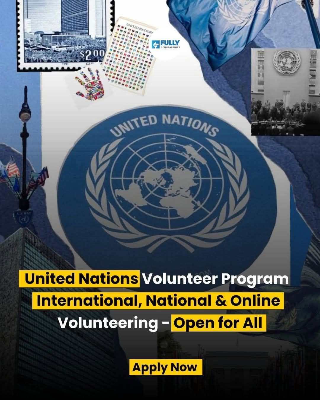 United Nations Volunteer Program 2026 (UNV) 🌍