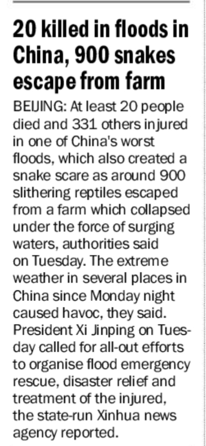20 killed in flood