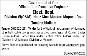 Government of Goa Electricity Department Tender Notice for Calvim Bridge Streetlight Cable Replacement