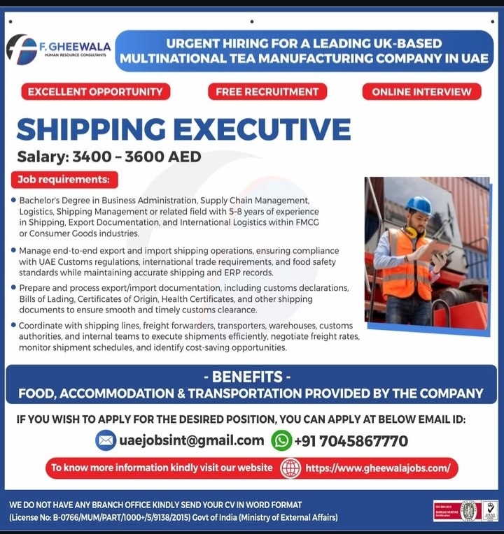 HIRING FOR SHIPPING EXECUTIVE