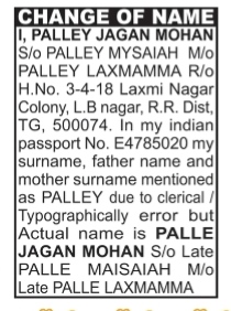 NAME CHANGE NOTICE- PALLEY