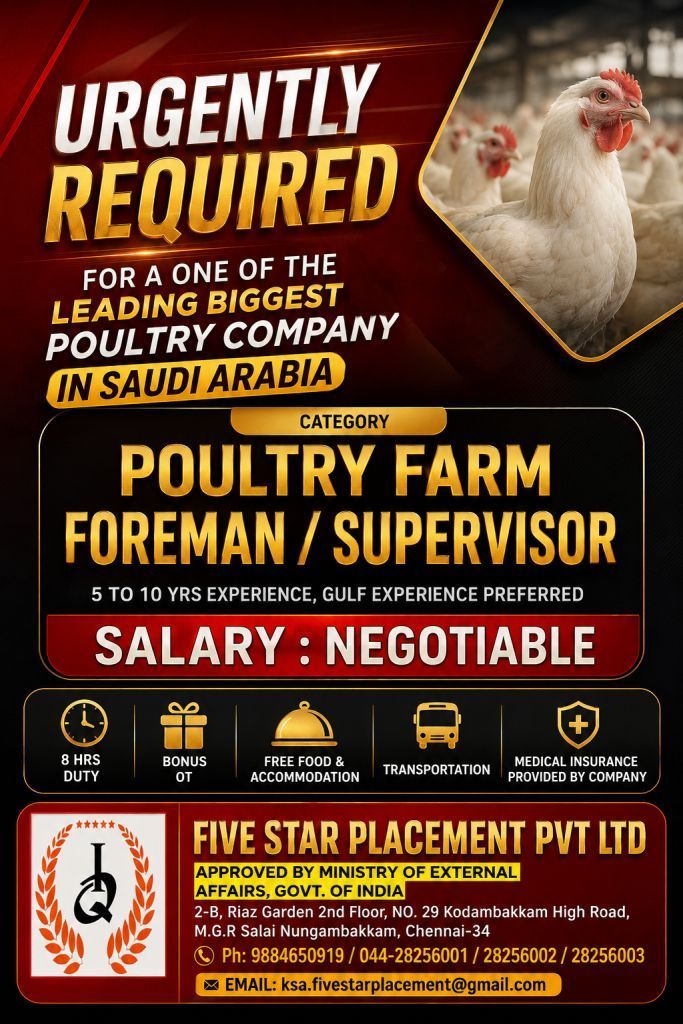 URGENT REQUIRED FOR SAUDI ARABIA