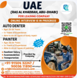 AUTO DENTER / PAINTER