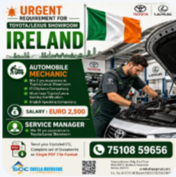 Automobile Mechanic and Service Manager Ireland