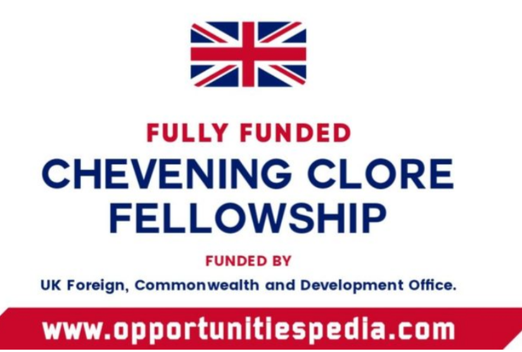 Chevening Clore Leadership Fellowship 2026 in UK (Fully Funded)