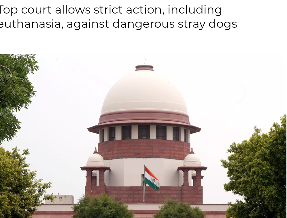 Get Moving Now To Control Stray Dog Menace