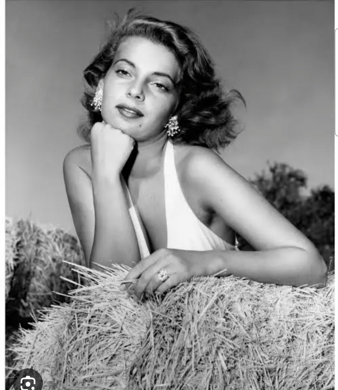 HAPPY BIRTHDAY TO ABBE LANE