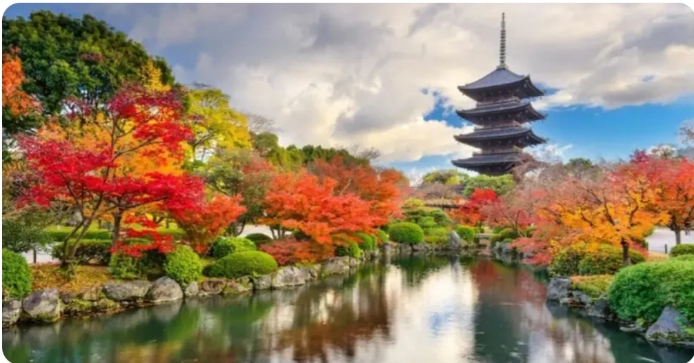 Japan Government MEXT Scholarship for Undergraduates 2027 | Fully Funded