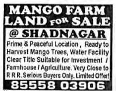 MANGO FARM LAND FOR SALE