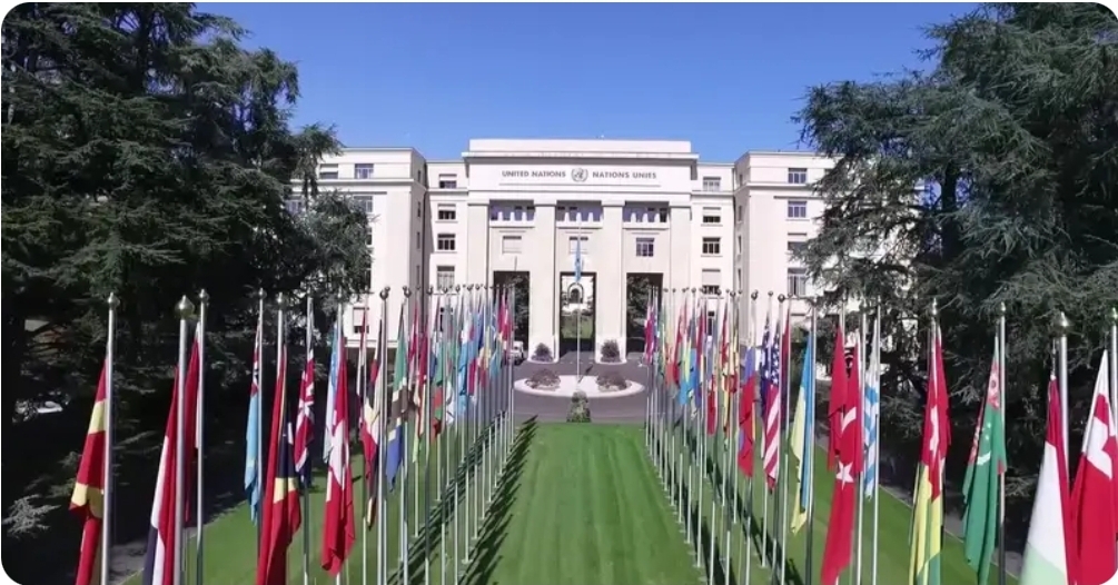 OHCHR Humanitarian Funds Fellowship 2026, Switzerland (Fully Funded)