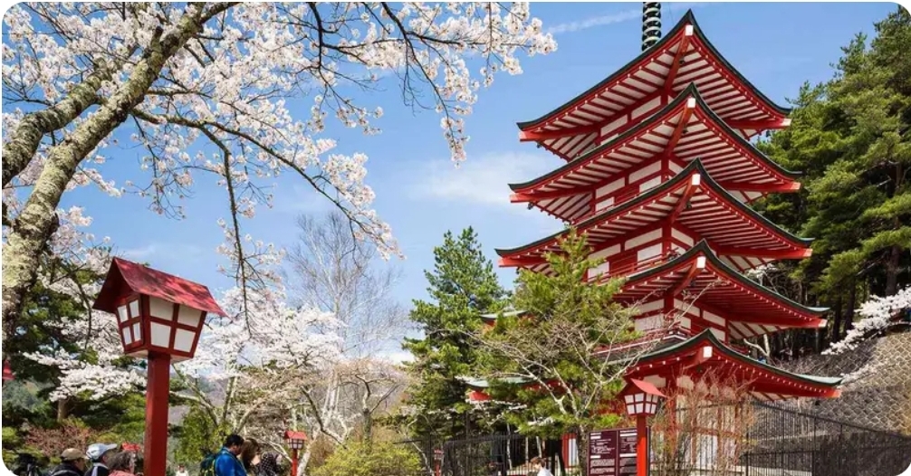 OIST Internship Program 2026 in Japan – Fully Funded