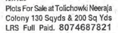 PLOTS FOR SALE