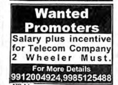 REQUIREMENT FOR PROMOTERS, TELECOM COMPANY