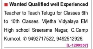 REQUIREMENT FOR TEACHER