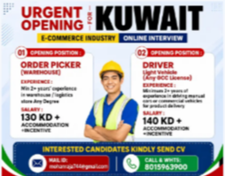 REQUIREMENTS FOR KUWAIT – CV SELECTION