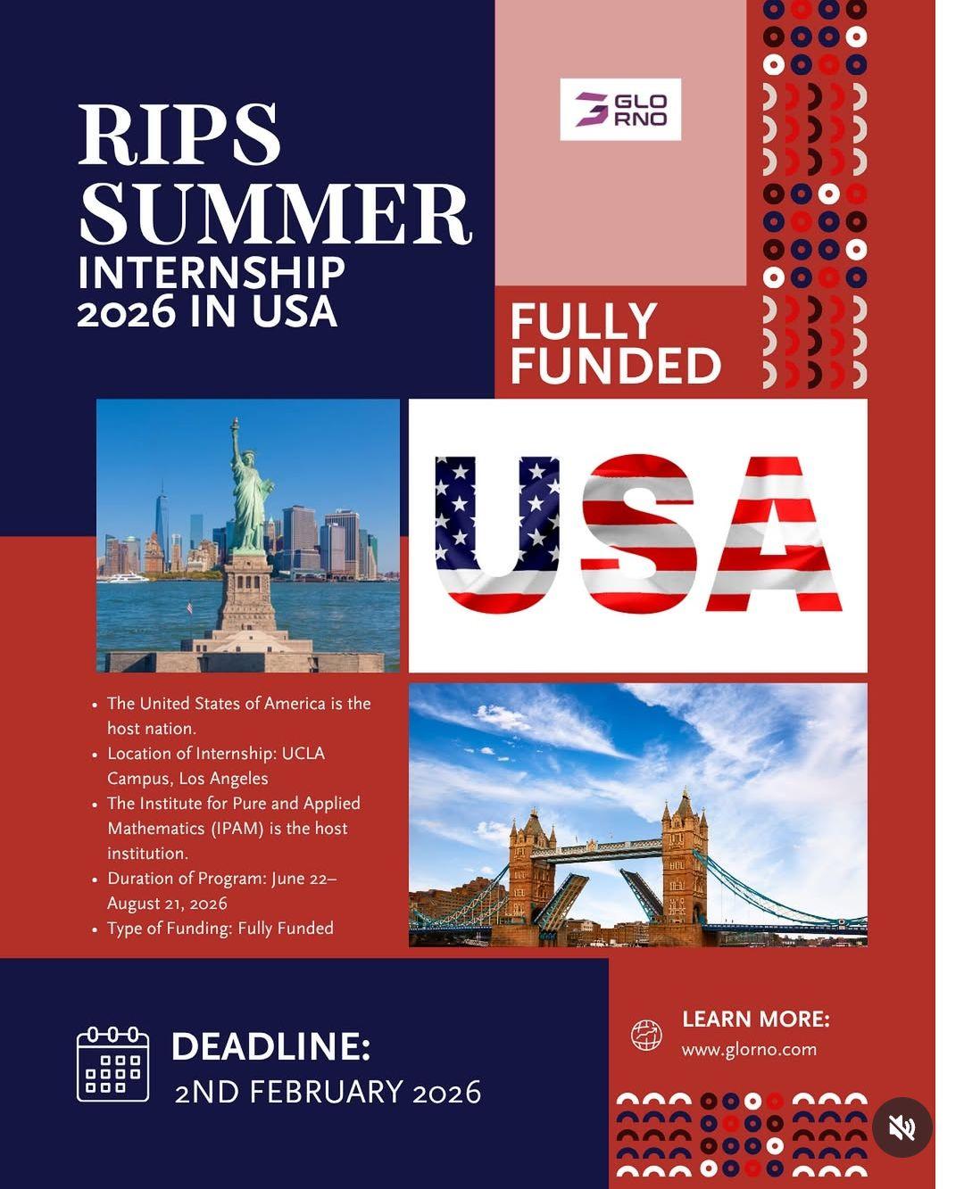 RIPS SUMMER INTERNSHIP