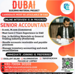 SENIOR ACCOUNTANT