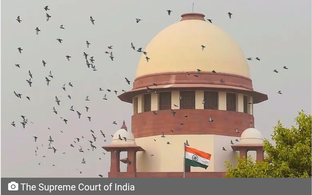 Tamil Nadu moves SC over Madras HC cow slaughter ban order