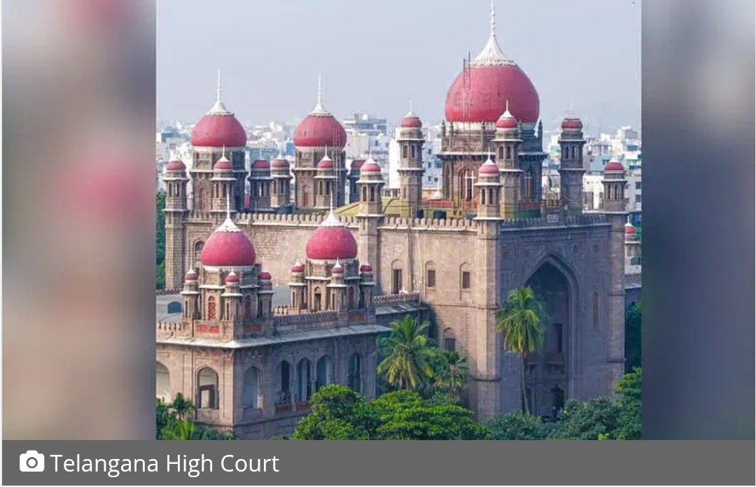 Telangana HC gives dog rescuer 3 weeks to find shelter for 37 dogs