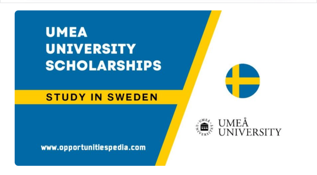 Umea University Scholarships 2026 in Sweden