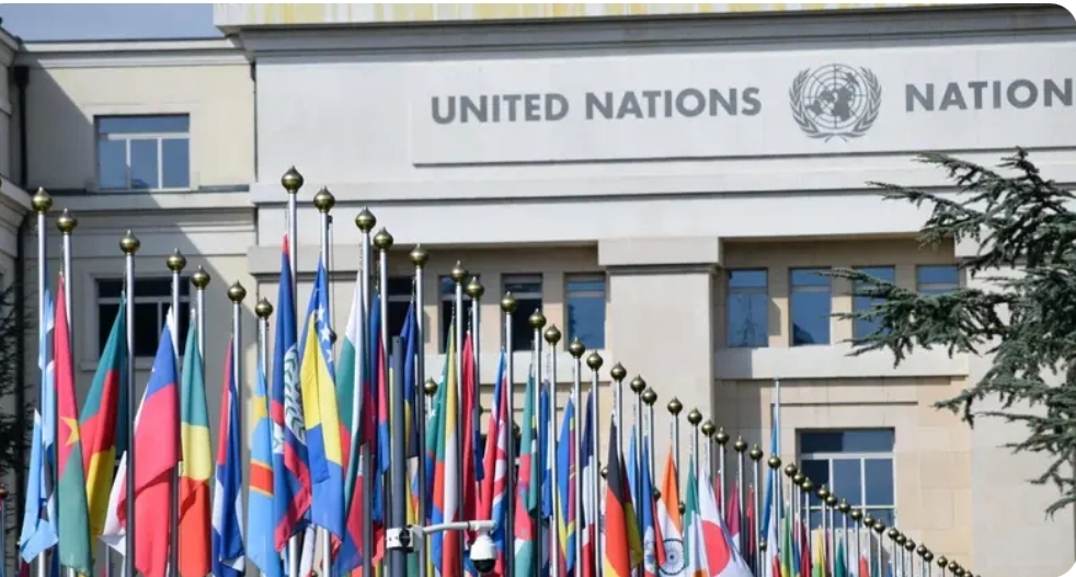 United Nations International Fellowship 2026 (Fully Funded)