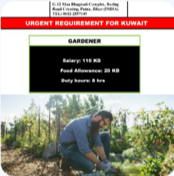 URGENT REQUIREMENT FOR KUWAIT