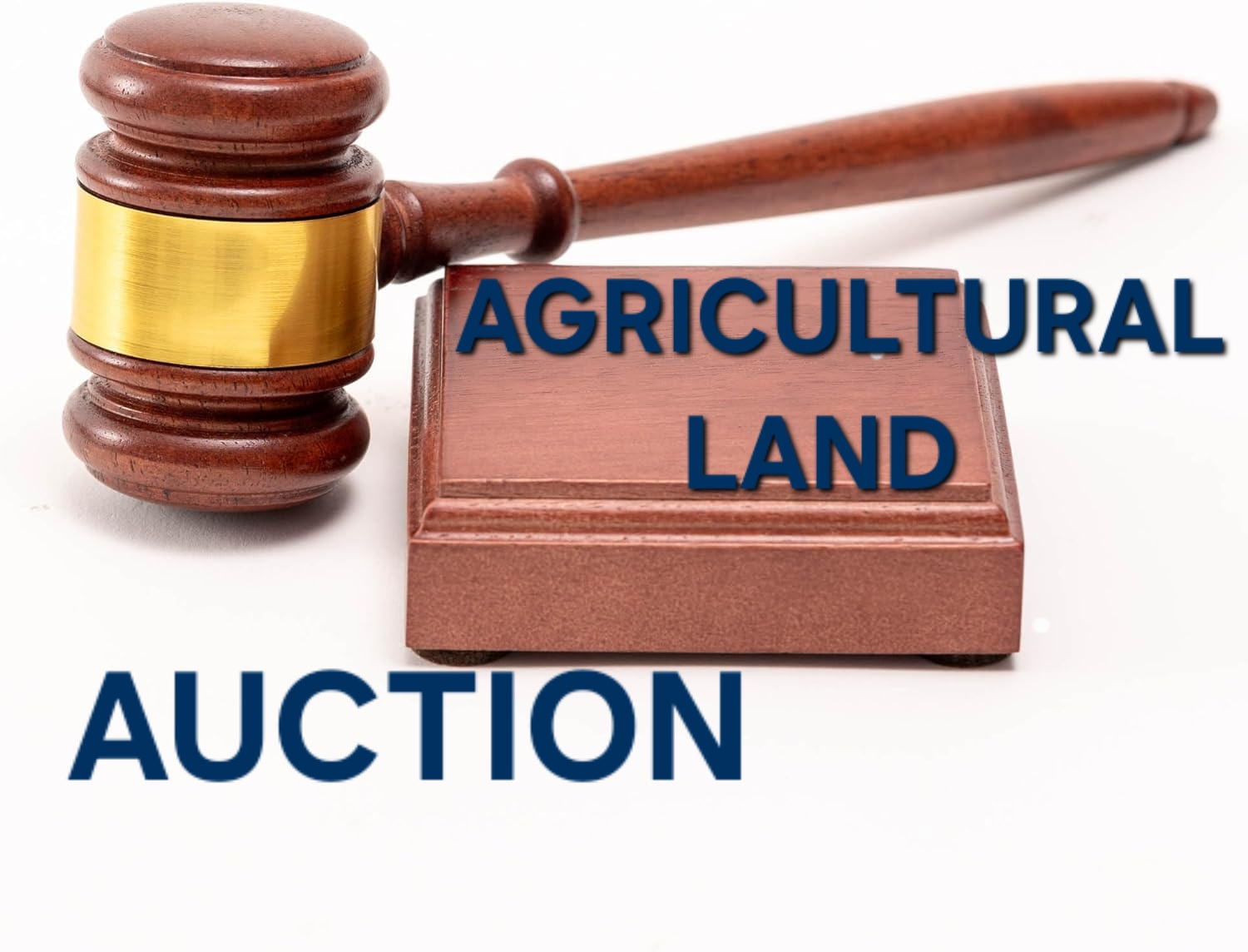 AGRICULTURAL LAND FOR AUCTION IN BELGAVI, BENGALURU