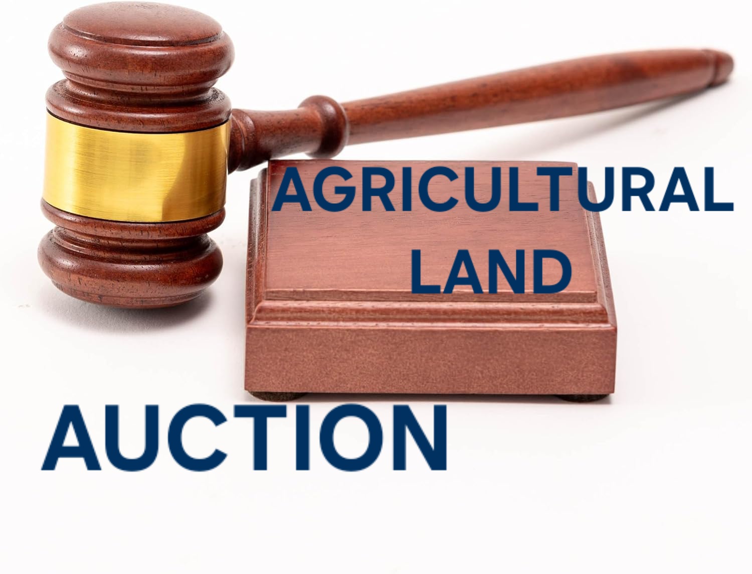 AGRICULTURAL LAND FOR AUCTION IN VIJAYAURA, BENGALURU