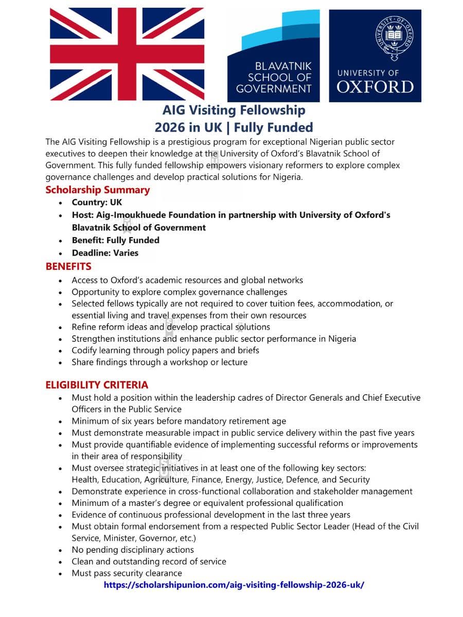 AIG Visiting Fellowship 2026 in UK