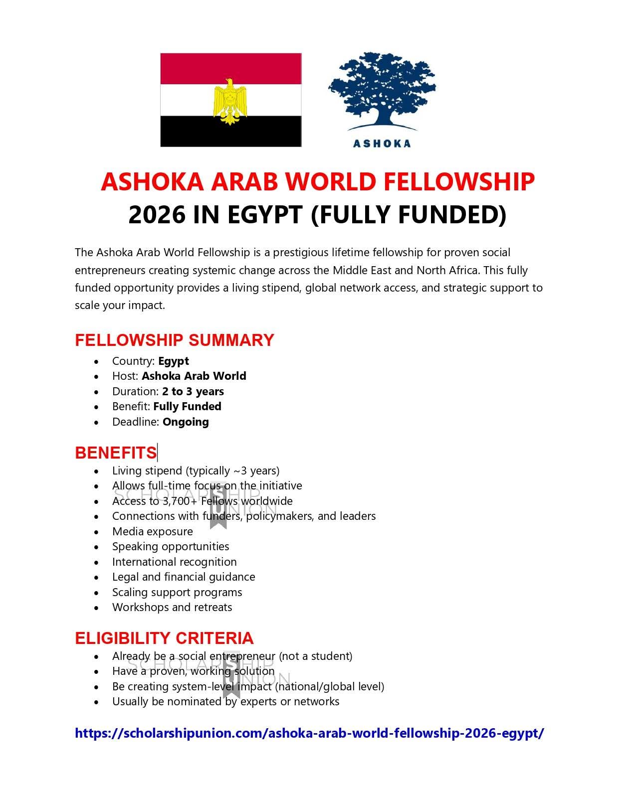 Ashoka Arab World Fellowship 2026 in Egypt