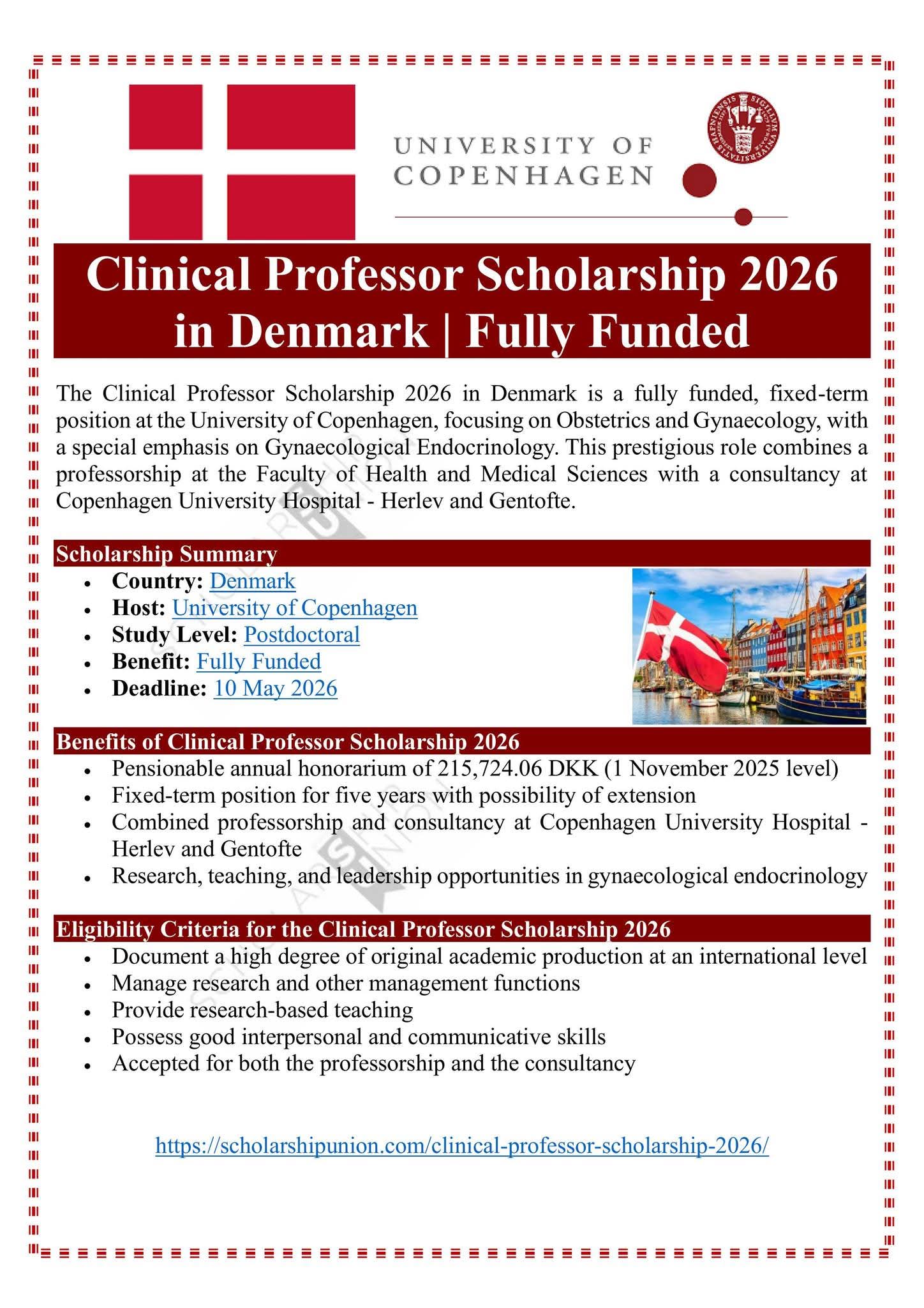 Clinical Professor Scholarship 2026 in Denmark