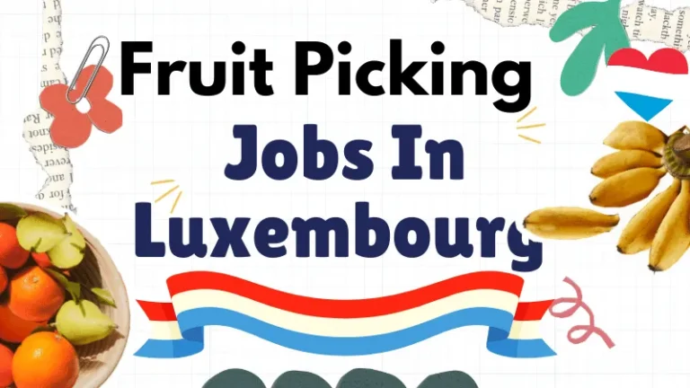 Fruit Picking Jobs In Luxembourg