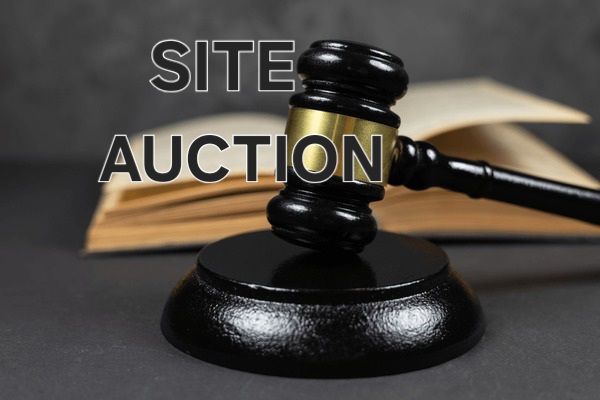 SITE FOR AUCTION IN SAMPIGEHALLI, BENGALURU