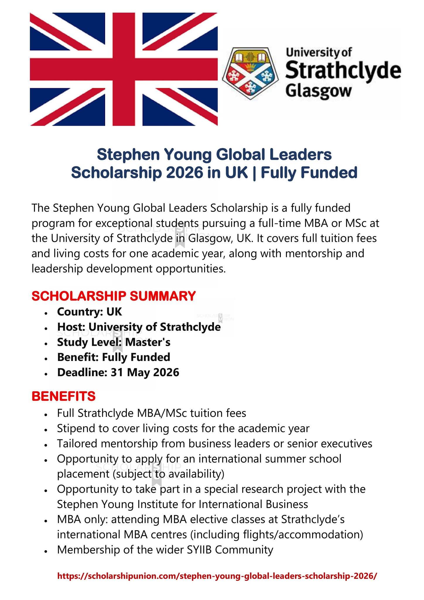 Stephen Young Global Leaders Scholarship 2026 In UK