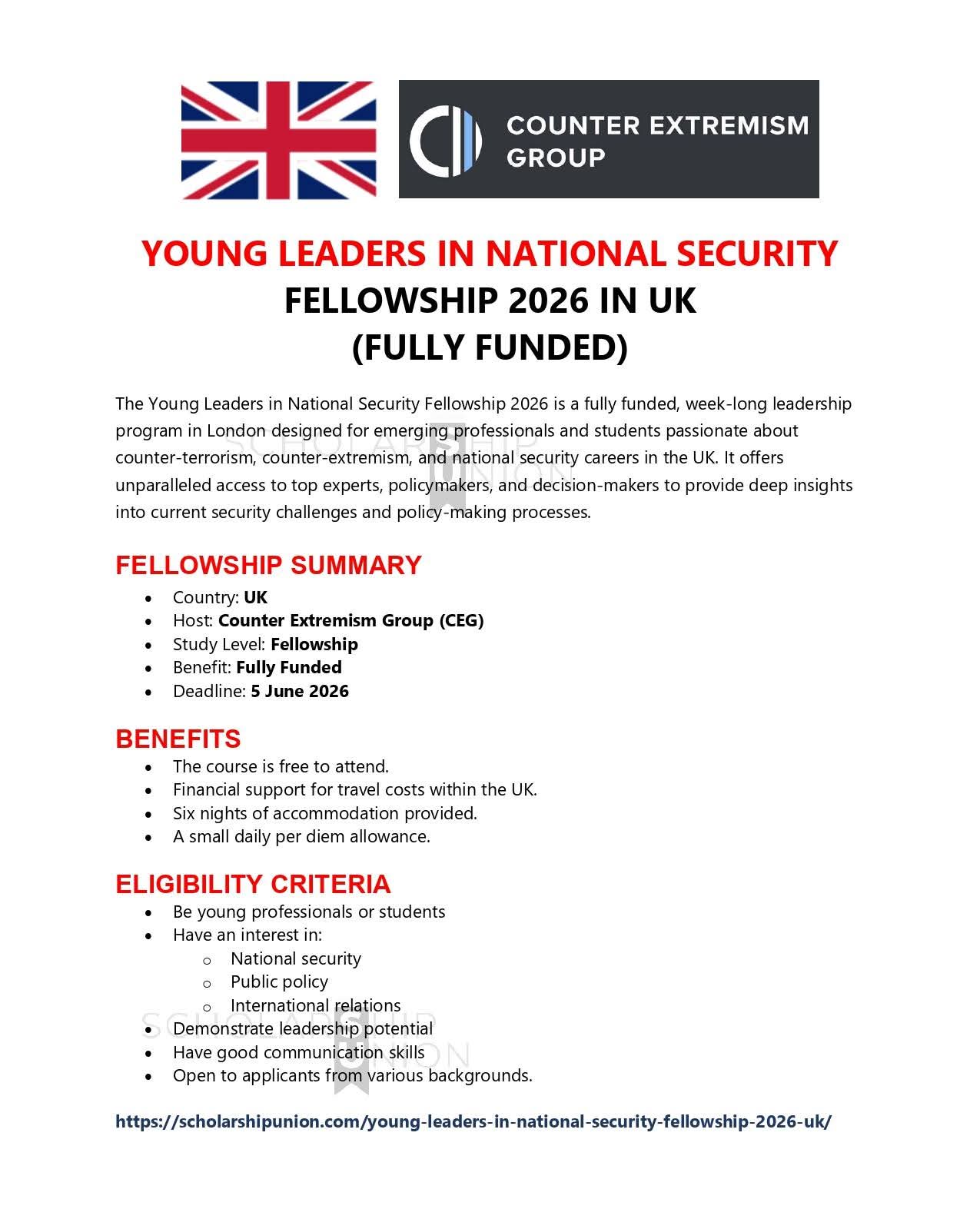 Young Leaders in National Security Fellowship 2026 in UK