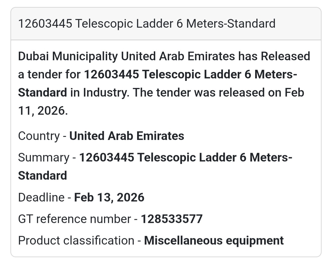 🪜 12603445 – Telescopic Ladder 6 Meters (Standard)