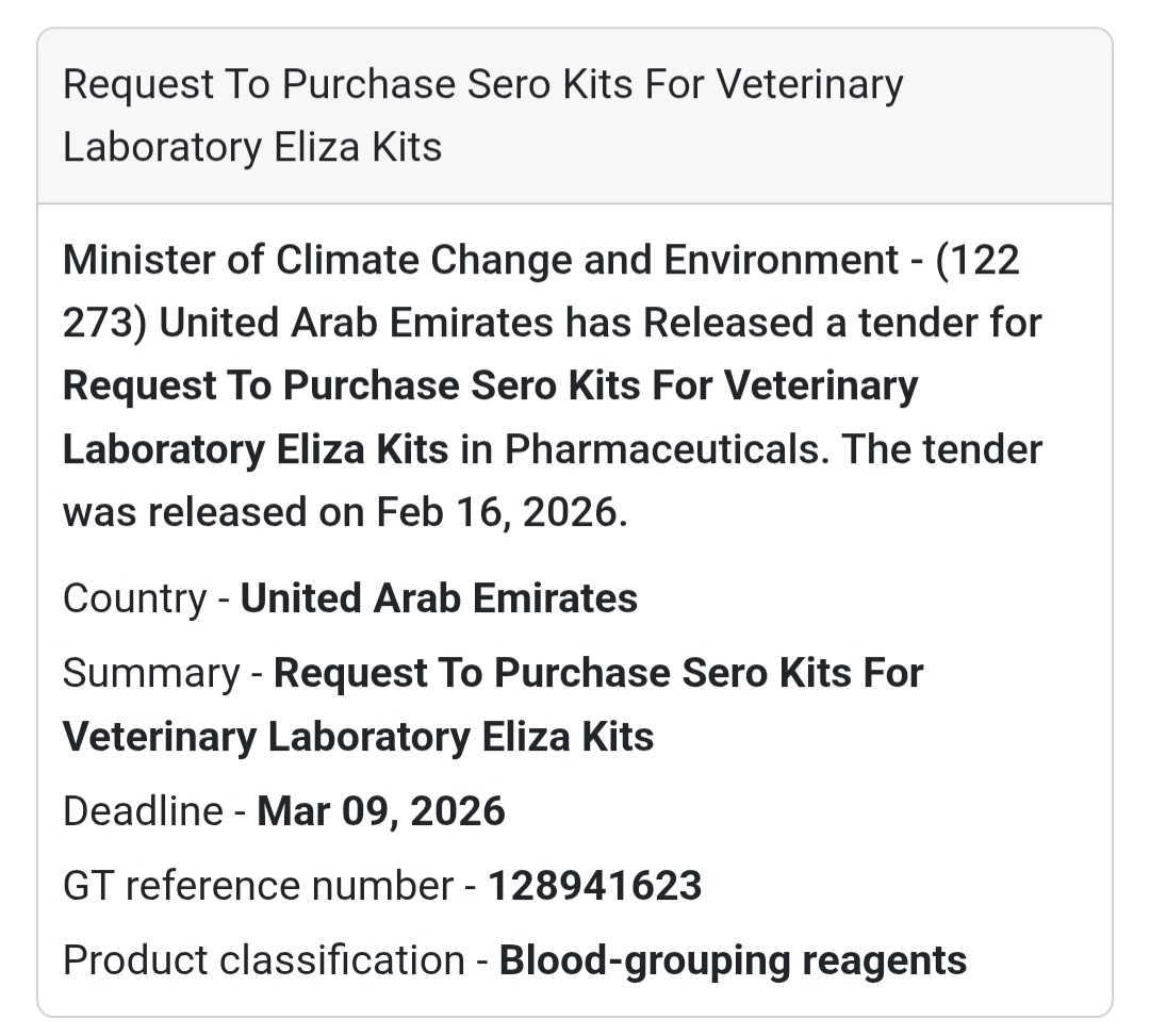 🚗 12603807 – Audi Saloon PM Service 10,000