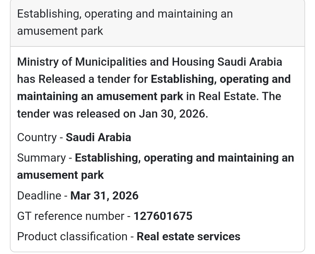 🎢 Amusement Park Development