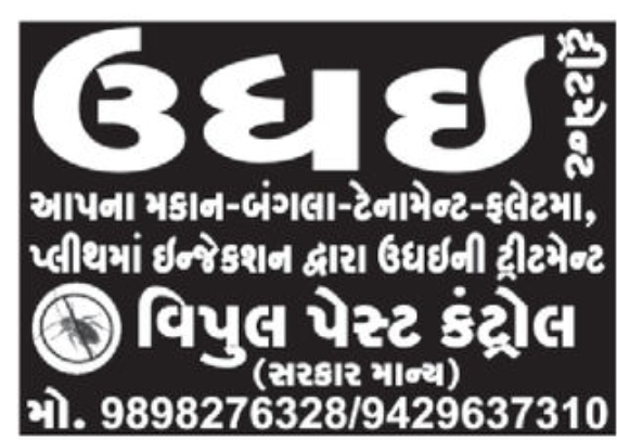 🦟 Bed Bug Treatment Services bhavnagar
