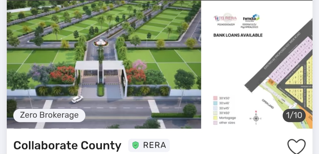 🌳 Collaborate County – Premium Layout