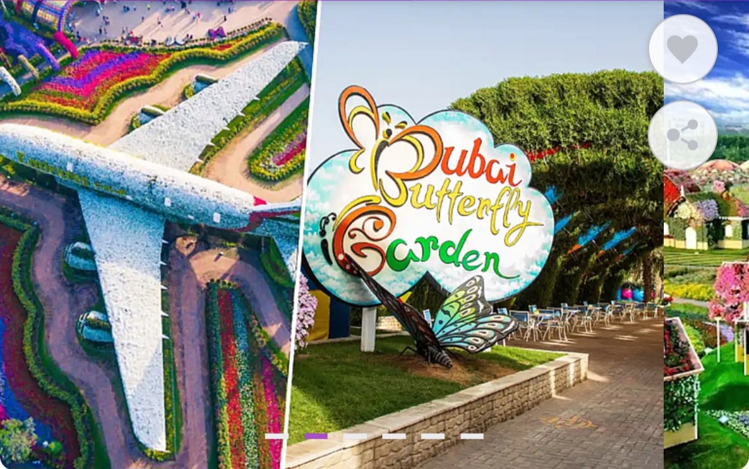 🌸🦋 Dubai Miracle Garden + Butterfly Garden Combo!