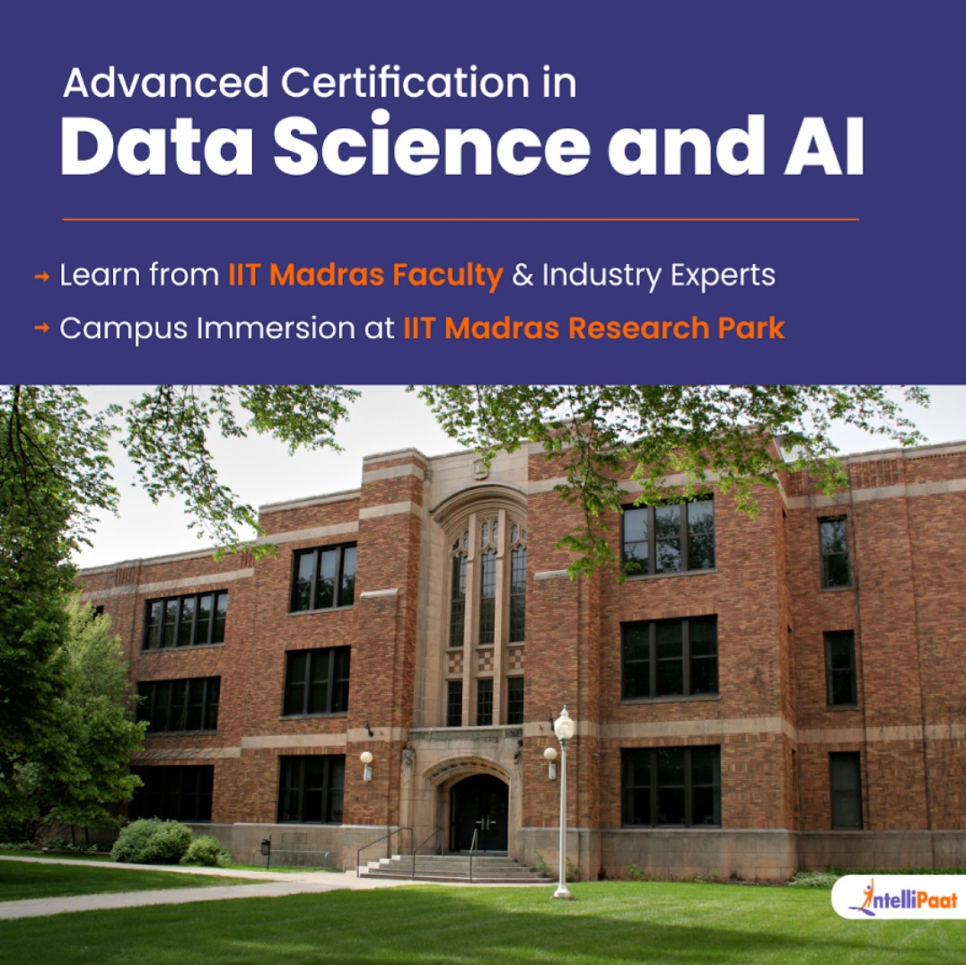 🎓 Education / Career Growth