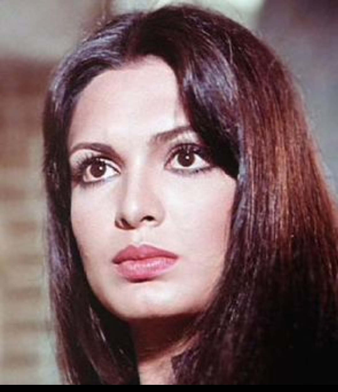 Happy birthday 🎂Parveen Babi