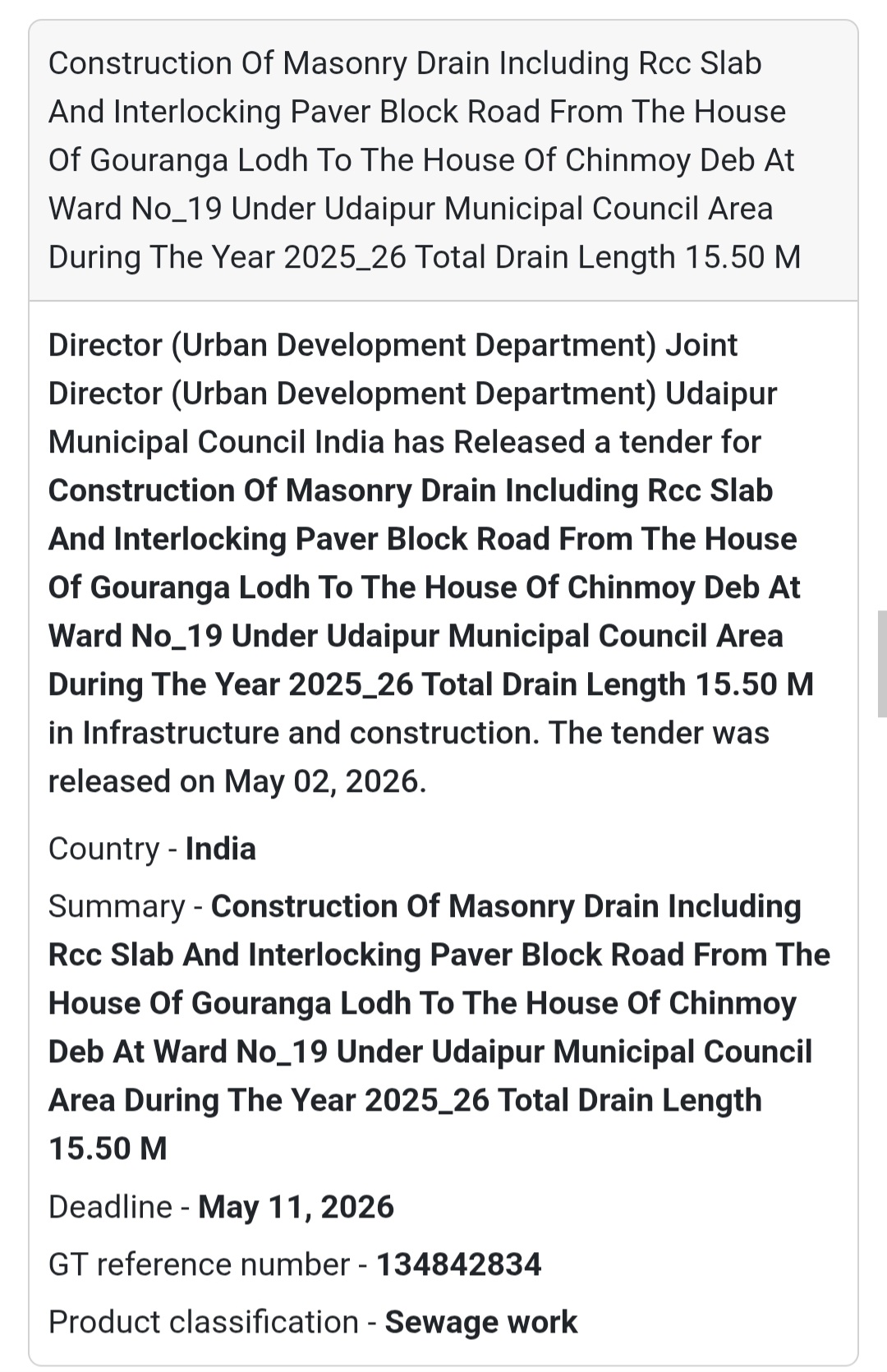 🚧 Masonry Drain + Paver Block Road