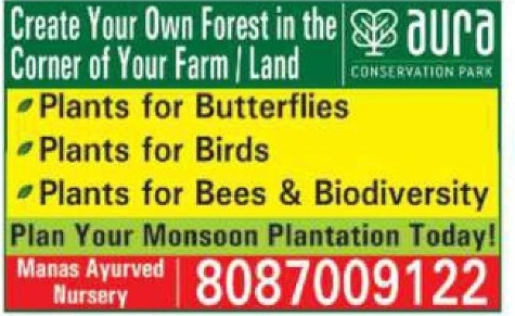🌳 Monsoon Plantation Drive