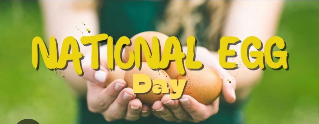 🥚🎉 National Egg Day 2026 🎉🥚