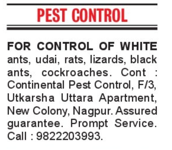 🐜 Pest Control Services