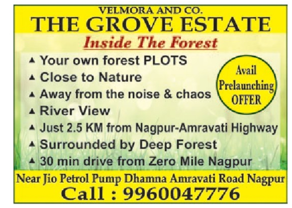 🌿 The Grove Estate – Inside the Forest